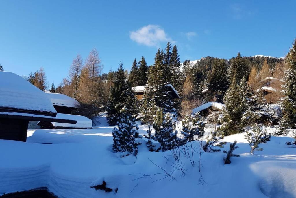 Chalet Wulli In Der Naehe Der Skianlagen Savognin Exteriör bild