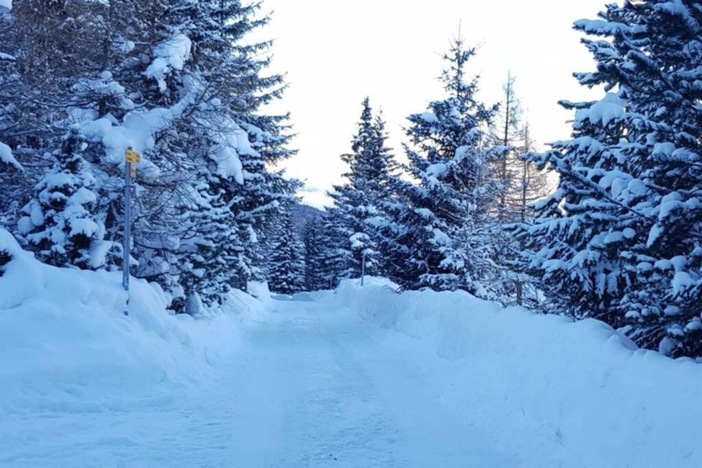 Chalet Wulli In Der Naehe Der Skianlagen Savognin Exteriör bild