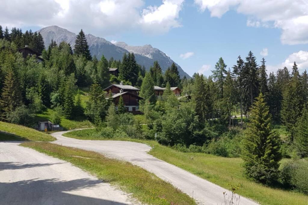 Chalet Wulli In Der Naehe Der Skianlagen Savognin Exteriör bild
