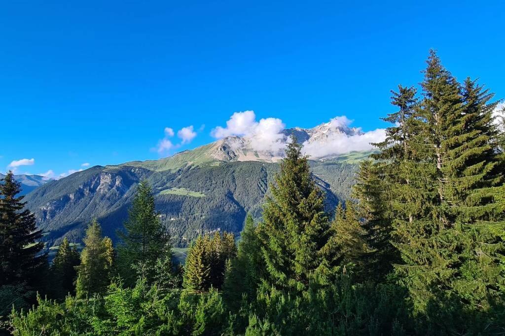 Chalet Wulli In Der Naehe Der Skianlagen Savognin Exteriör bild