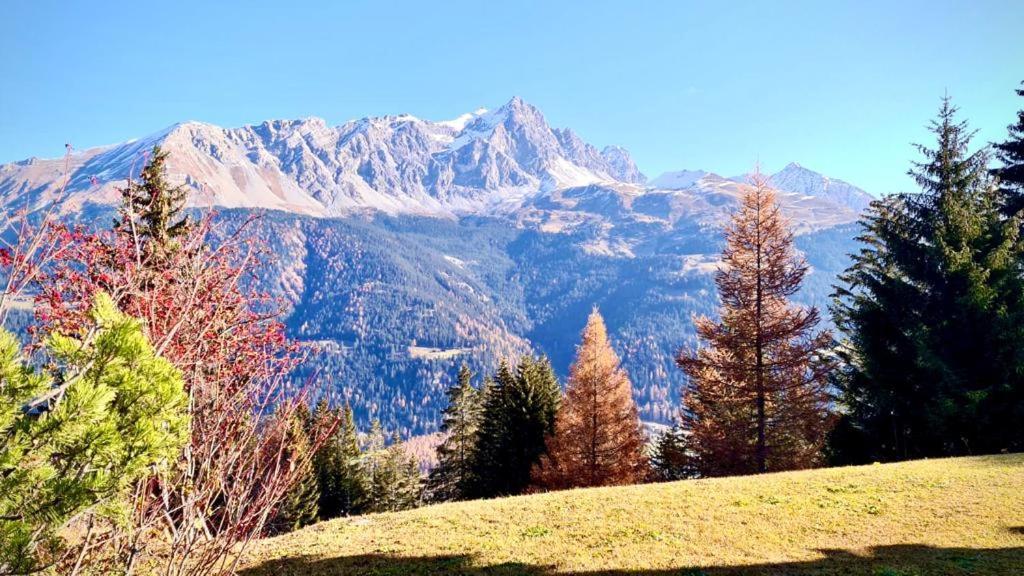 Chalet Wulli In Der Naehe Der Skianlagen Savognin Exteriör bild