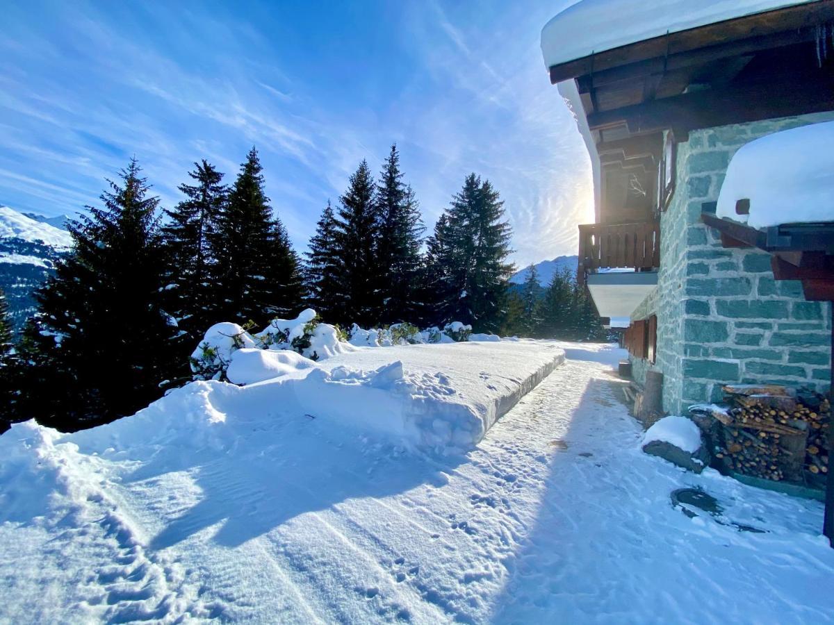 Chalet Wulli In Der Naehe Der Skianlagen Savognin Exteriör bild