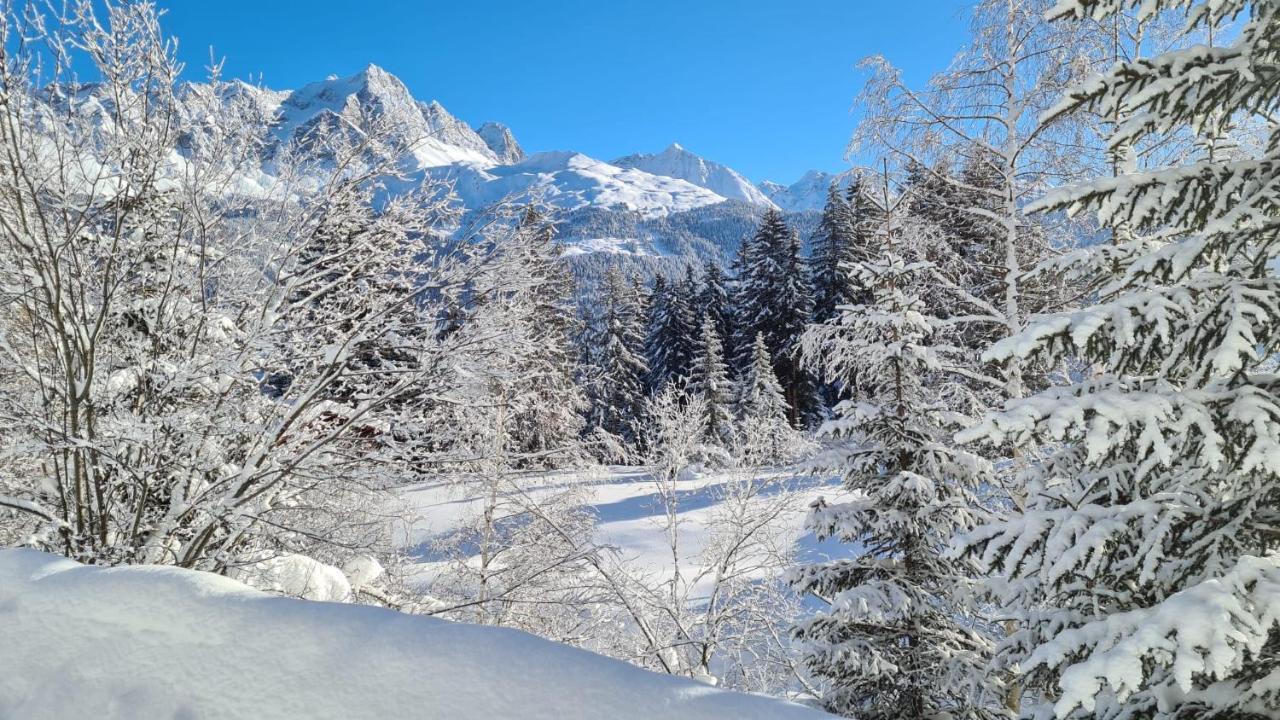 Chalet Wulli In Der Naehe Der Skianlagen Savognin Exteriör bild
