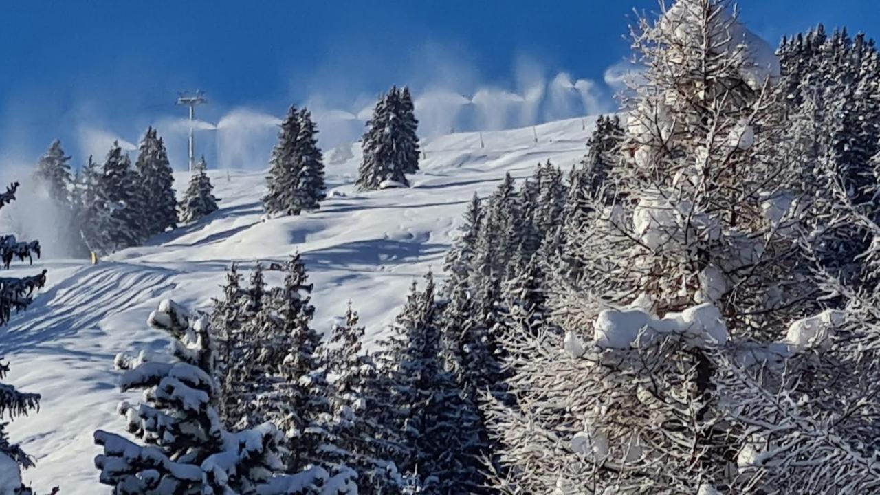 Chalet Wulli In Der Naehe Der Skianlagen Savognin Exteriör bild